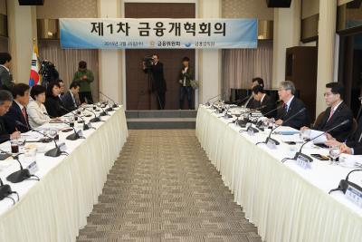 1st meeting of Financial Reform Committee thumbnail